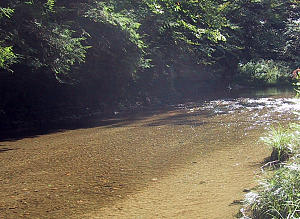 Nature Center near Ithaca, NY