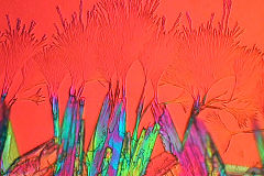 Aspirin in polarized light