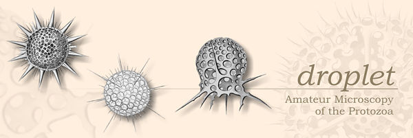 Droplet - Microscopy of the Protozoa